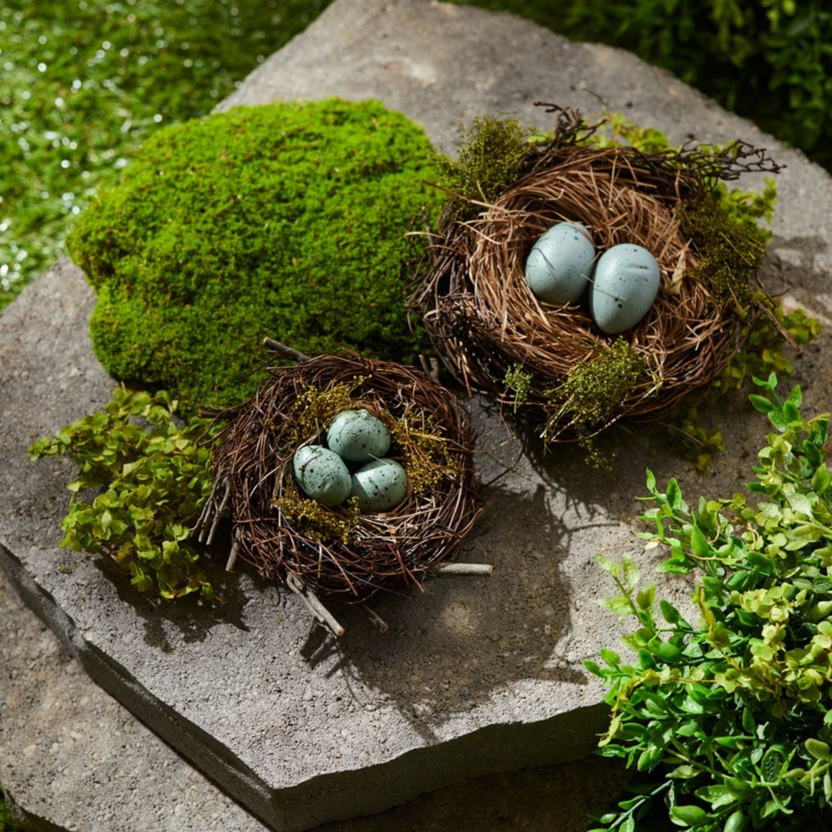 Birds Nest with Eggs (Set of 12) -Ship Only
