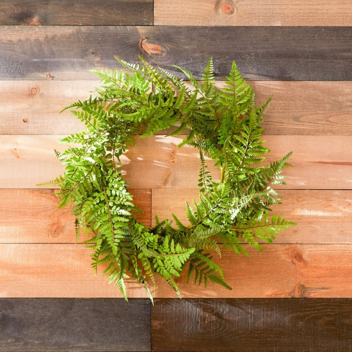 Mixed Fern Grapevine Wreath 24"D -Ship Only