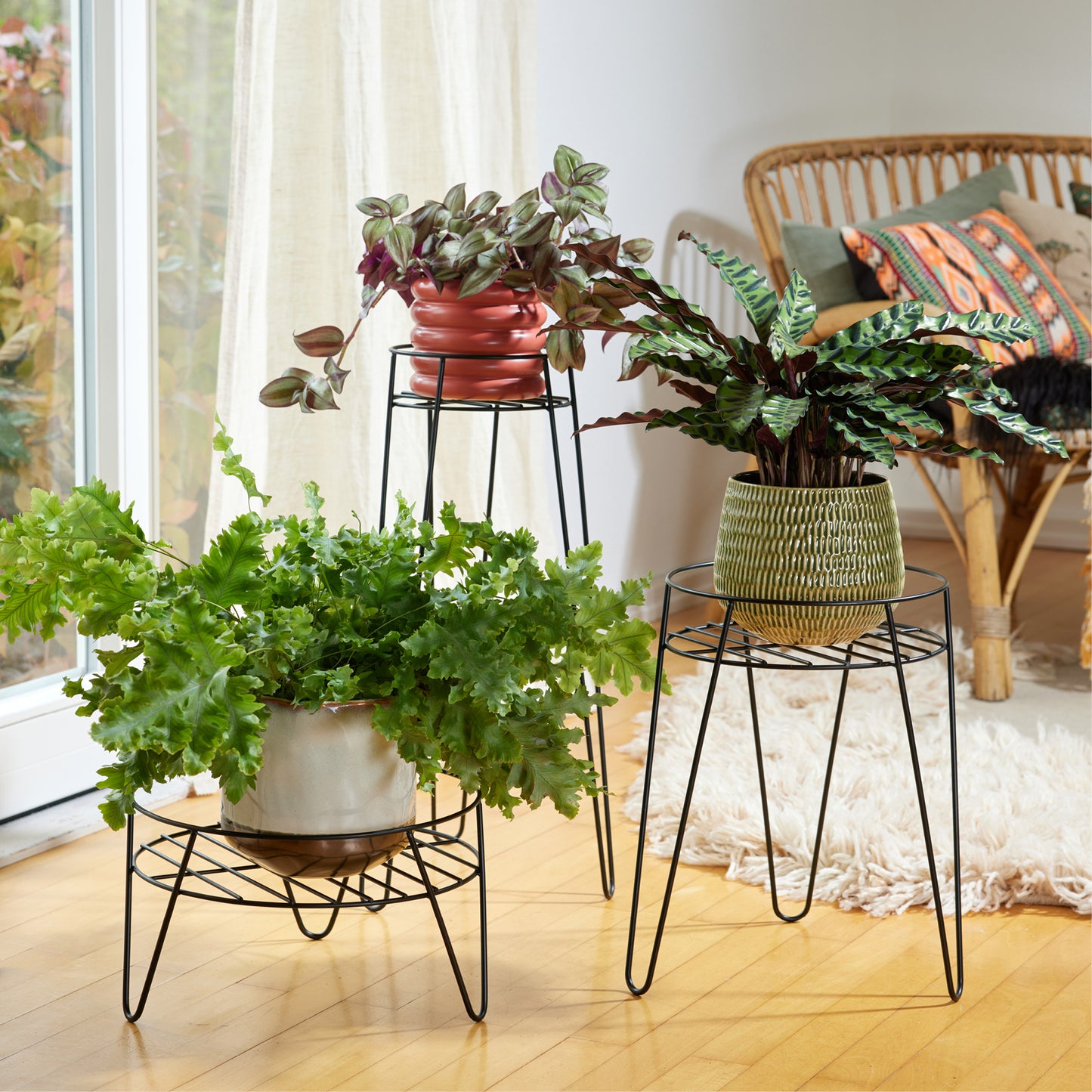 Medium Metal Plant Stand -Ship Only