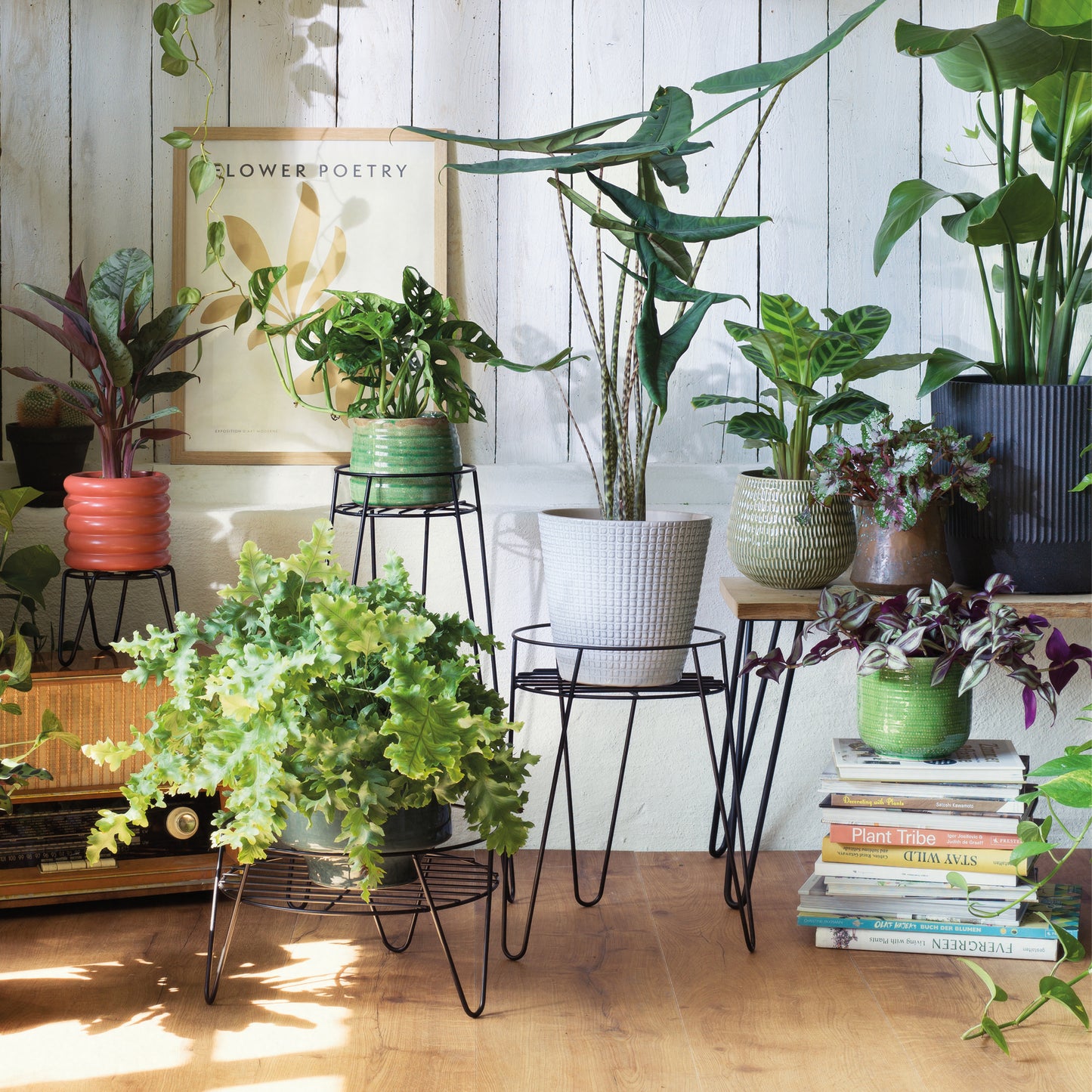 Short Metal Plant Stand -Ship Only