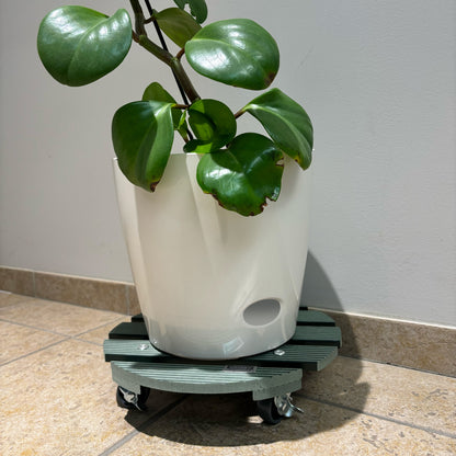 11.4" Sage Green Round WPC Plant Caddy