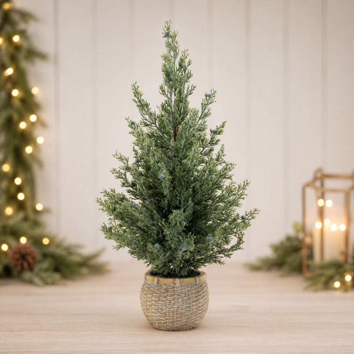 Potted Mini Pine Tree (Set of 2) -Ship Only