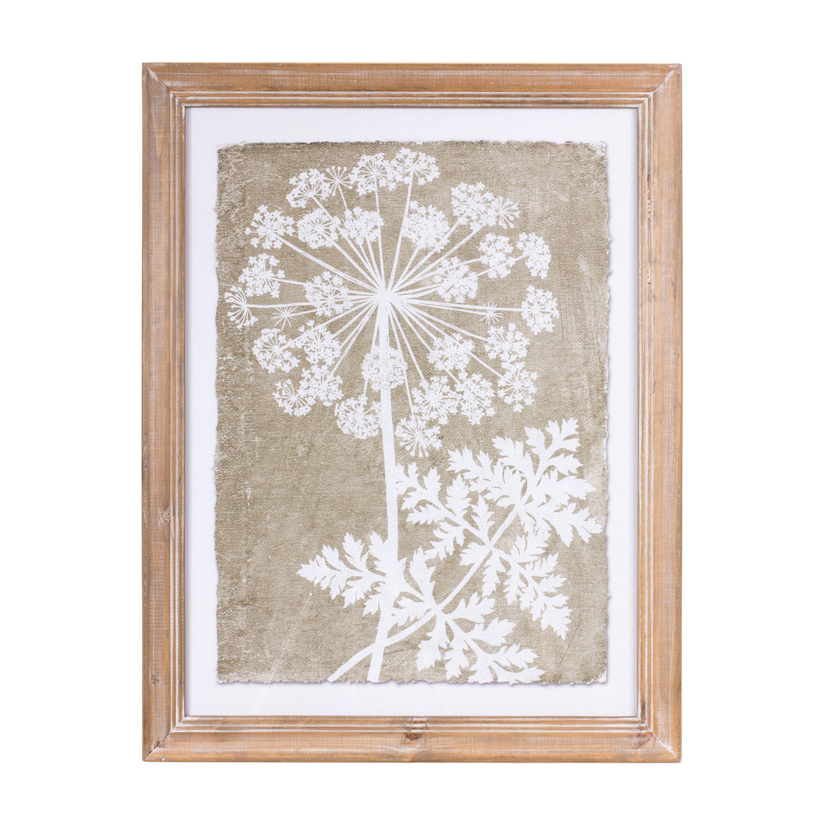 Framed Queen Anne's Lace and Fern Wall Art (Set of 2) -Ship Only