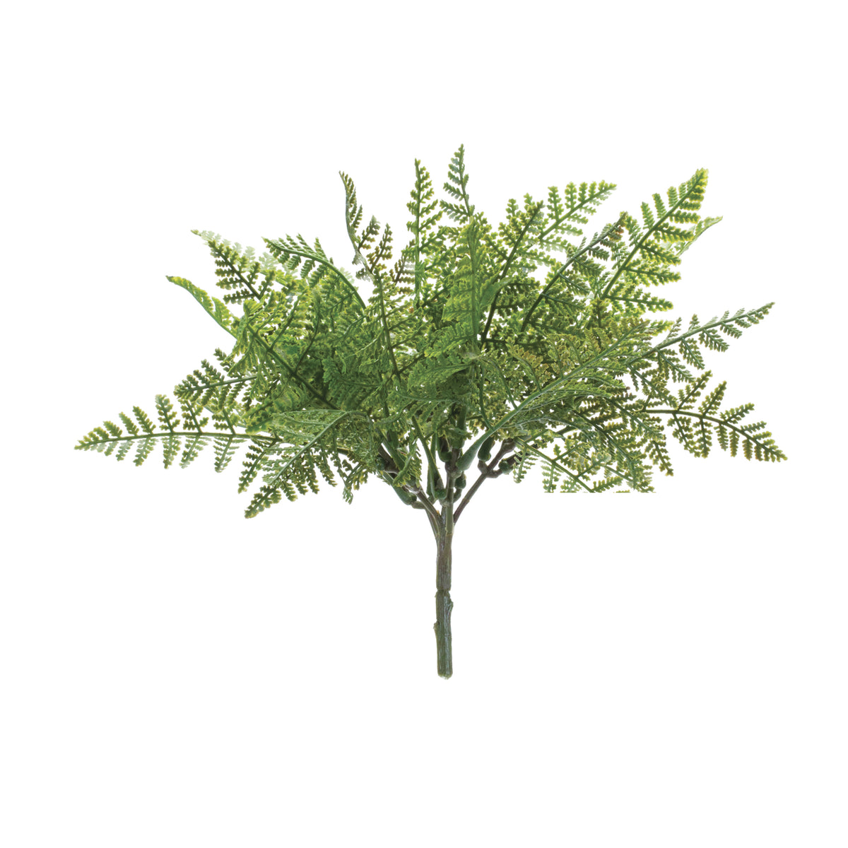 Fern Bush (Set of 12) -Ship Only