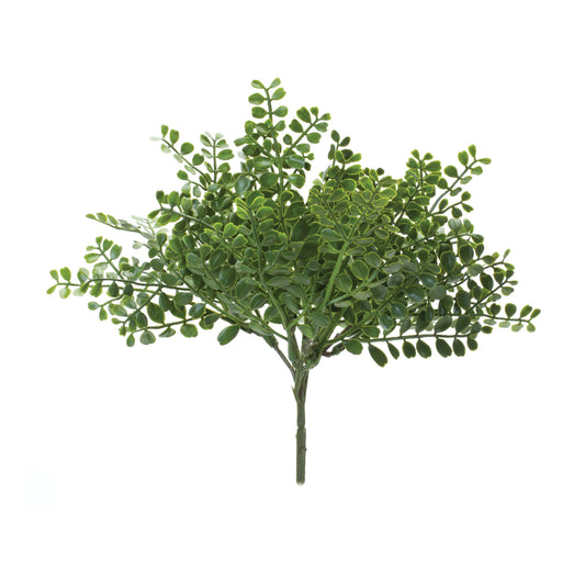Fern Bush (Set of 12) -Ship Only