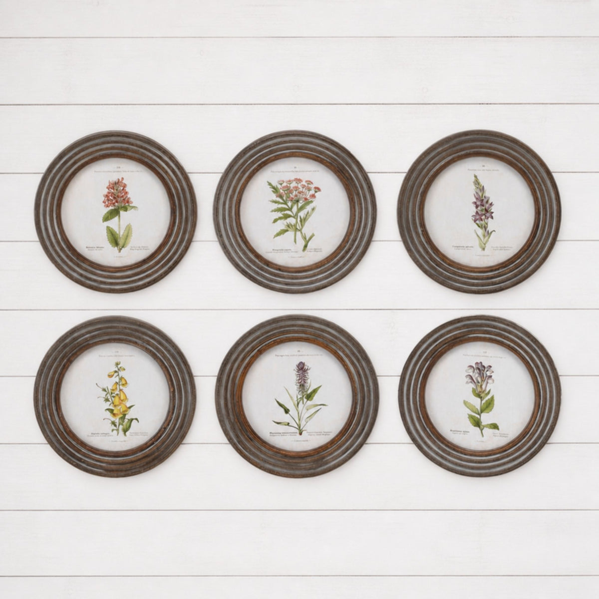 Round Framed Floral Print (Set of 6) -Ship Only
