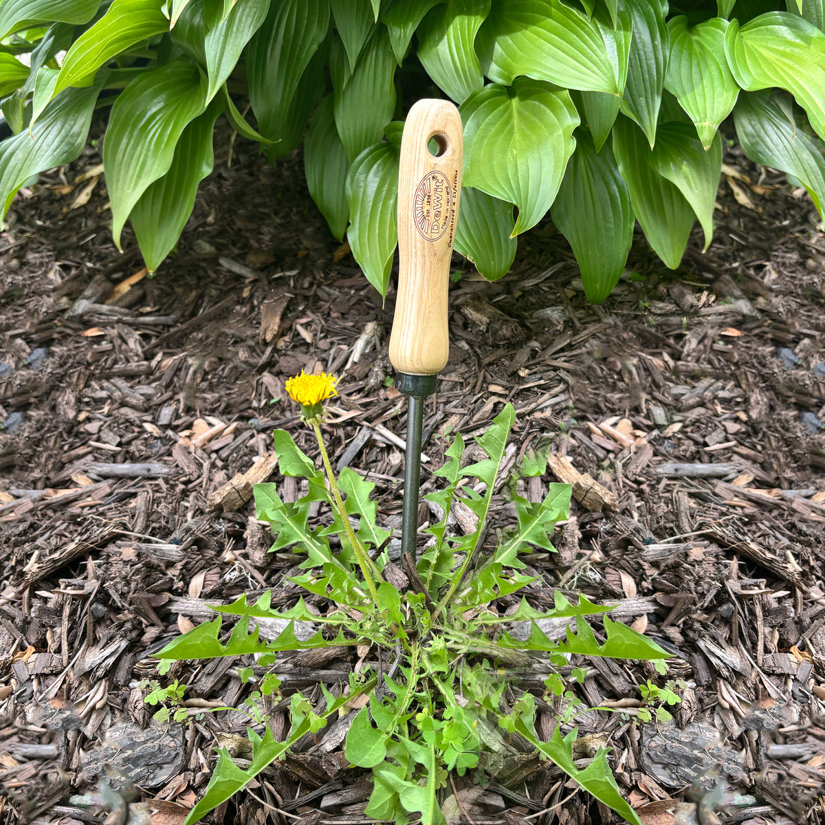 DeWit Weeder - Dandelion -Ship Only