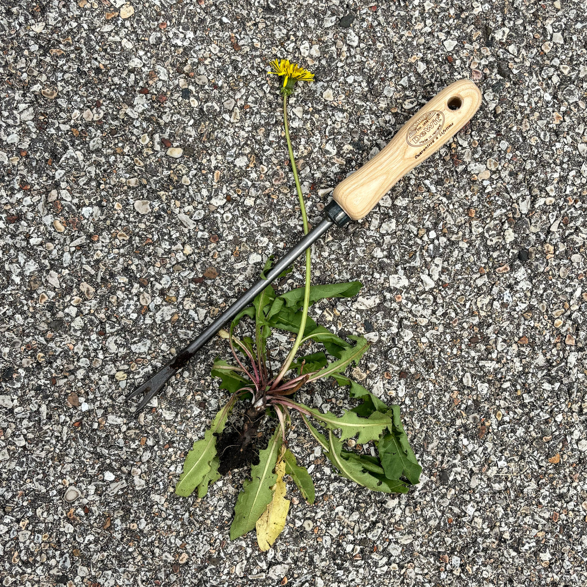 DeWit Weeder - Dandelion -Ship Only