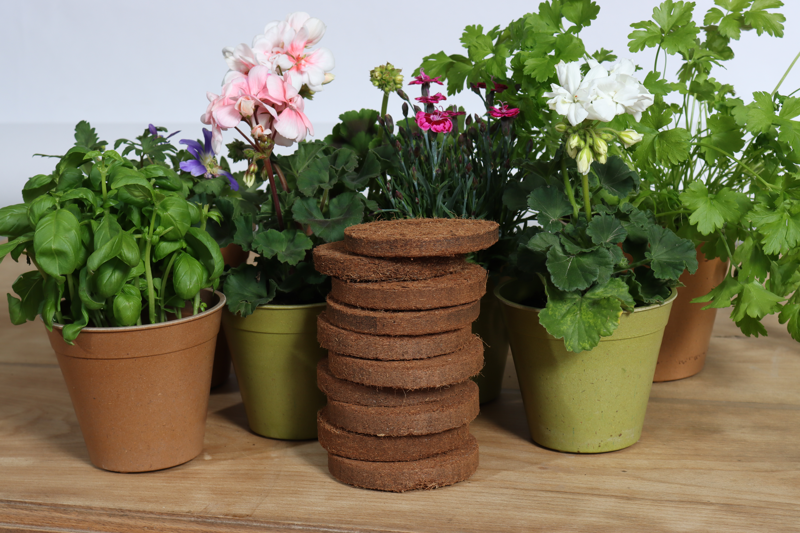 Coir 20g Disc x 10 Pack - Growlite Premium -Ship Only