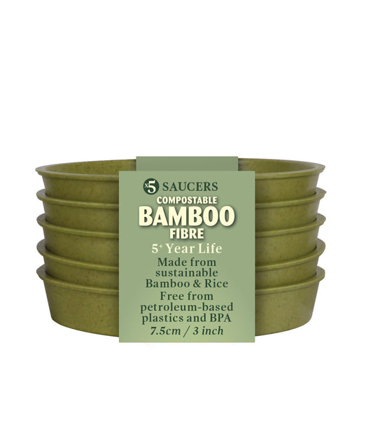 4" Green Bamboo Saucer 5 Pack -Ship Only