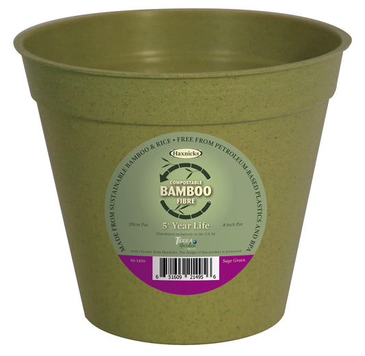 8" Green Bamboo Pot Single -Ship Only
