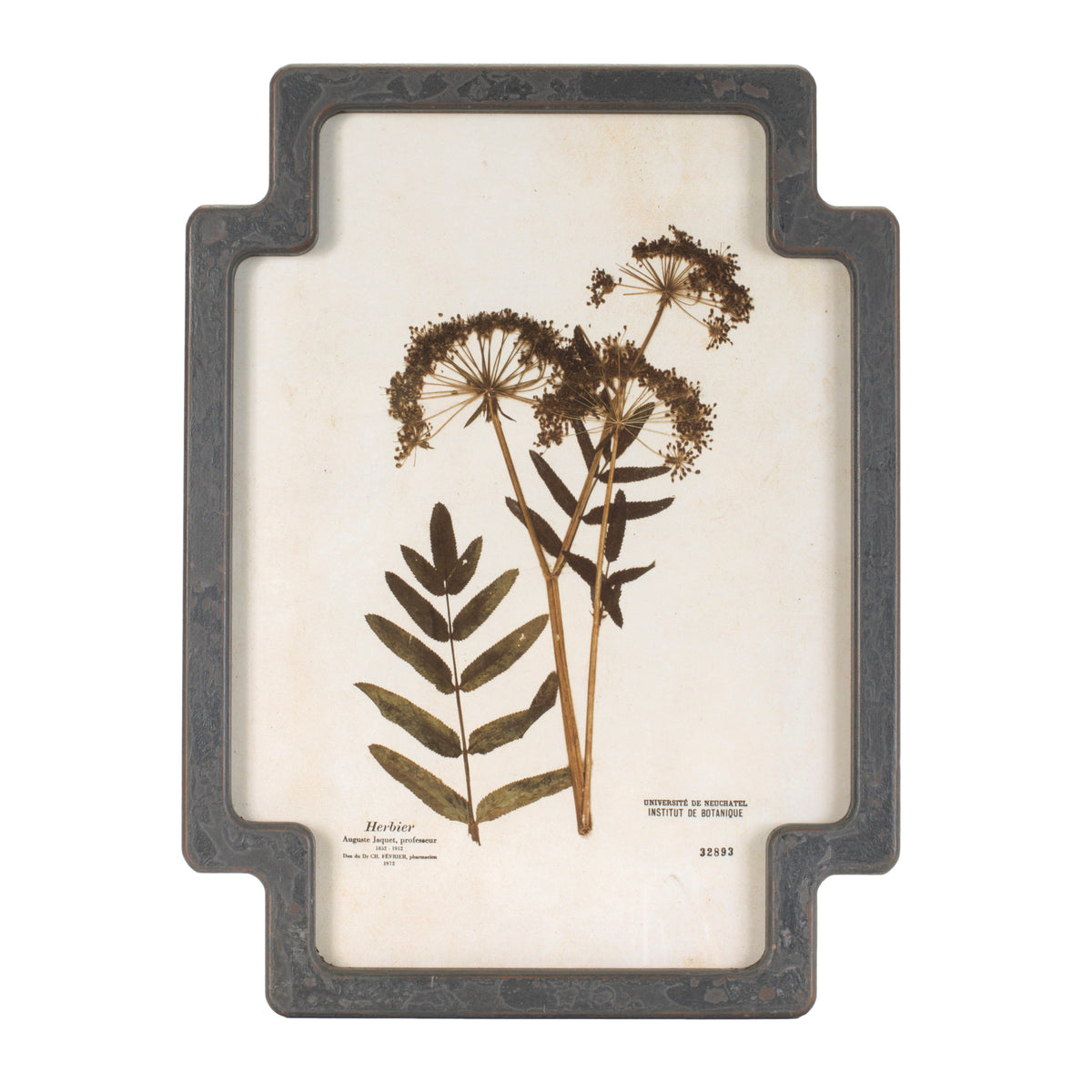 Framed Foliage Print (Set of 4) 11.5"L x 15.5"H Wood/MDF/Glass -Ship Only
