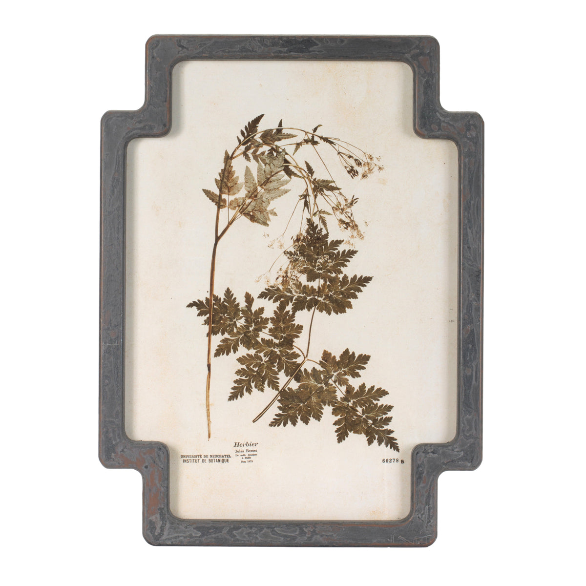 Framed Foliage Print (Set of 4) 11.5"L x 15.5"H Wood/MDF/Glass -Ship Only