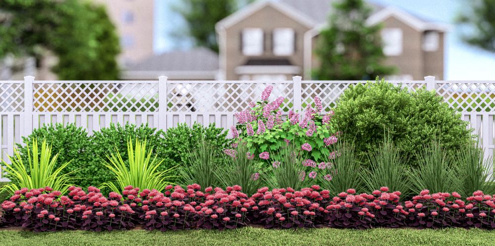 Plants That Work for a Winter Interest Garden (PLANTS THAT WORK WINTER INTEREST GARDEN) - -Ship Only
