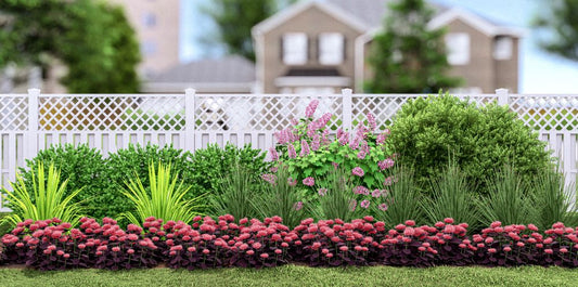 Plants That Work for a Winter Interest Garden (PLANTS THAT WORK WINTER INTEREST GARDEN) - -Ship Only