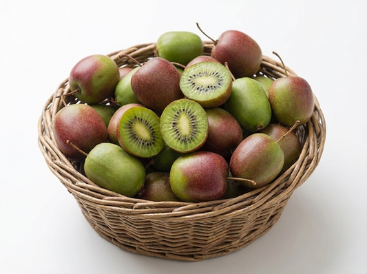 Prolific Kiwi (Actinidia arguta 'Prolific') - 3 gallon -Ship Only