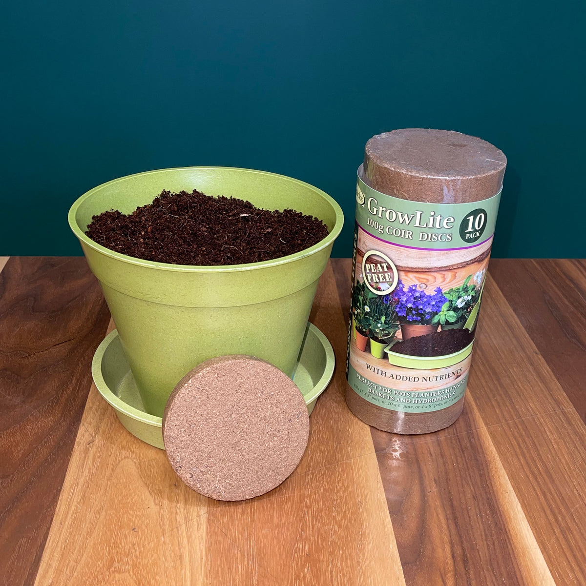 Coir 100g Disc x 10 Pack - Growlite Premium -Ship Only