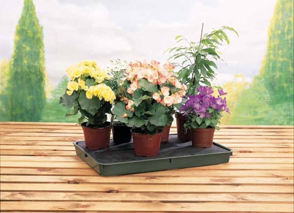 Large Green Self-Watering Tray -Ship Only