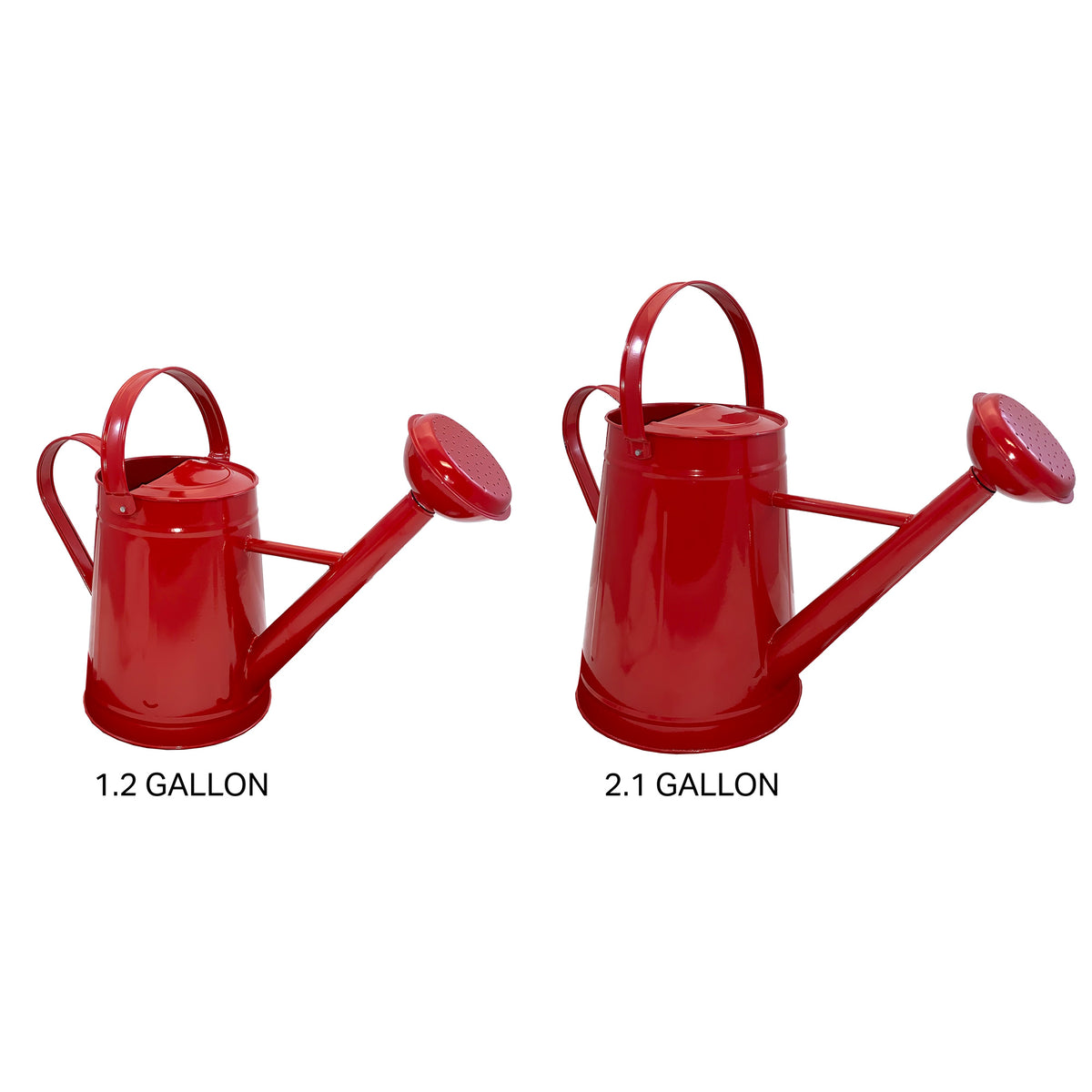 2.1 gal Violet Metal Watering Can -Ship Only