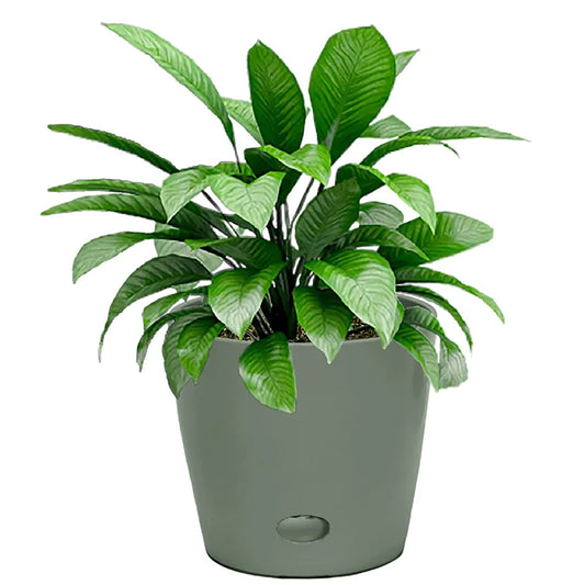 7" Sage Green Round Self-Watering Bamboo Pot -Ship Only