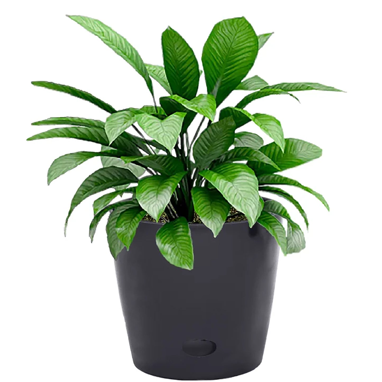 7" Black Round Self-Watering Bamboo Pot -Ship Only