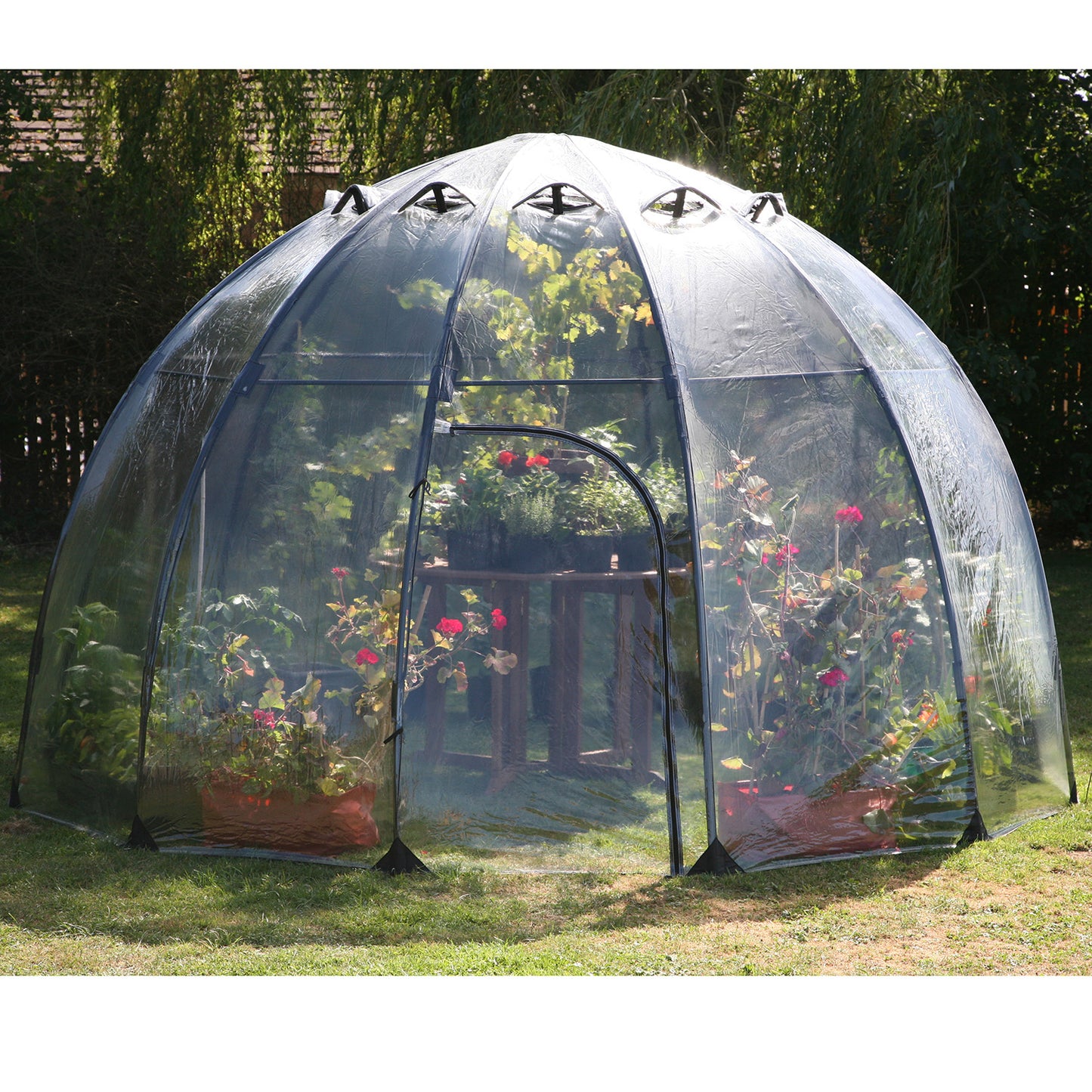 Large Sunbubble Greenhouse -Ship Only
