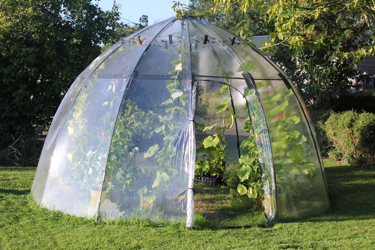 Large Sunbubble Greenhouse -Ship Only