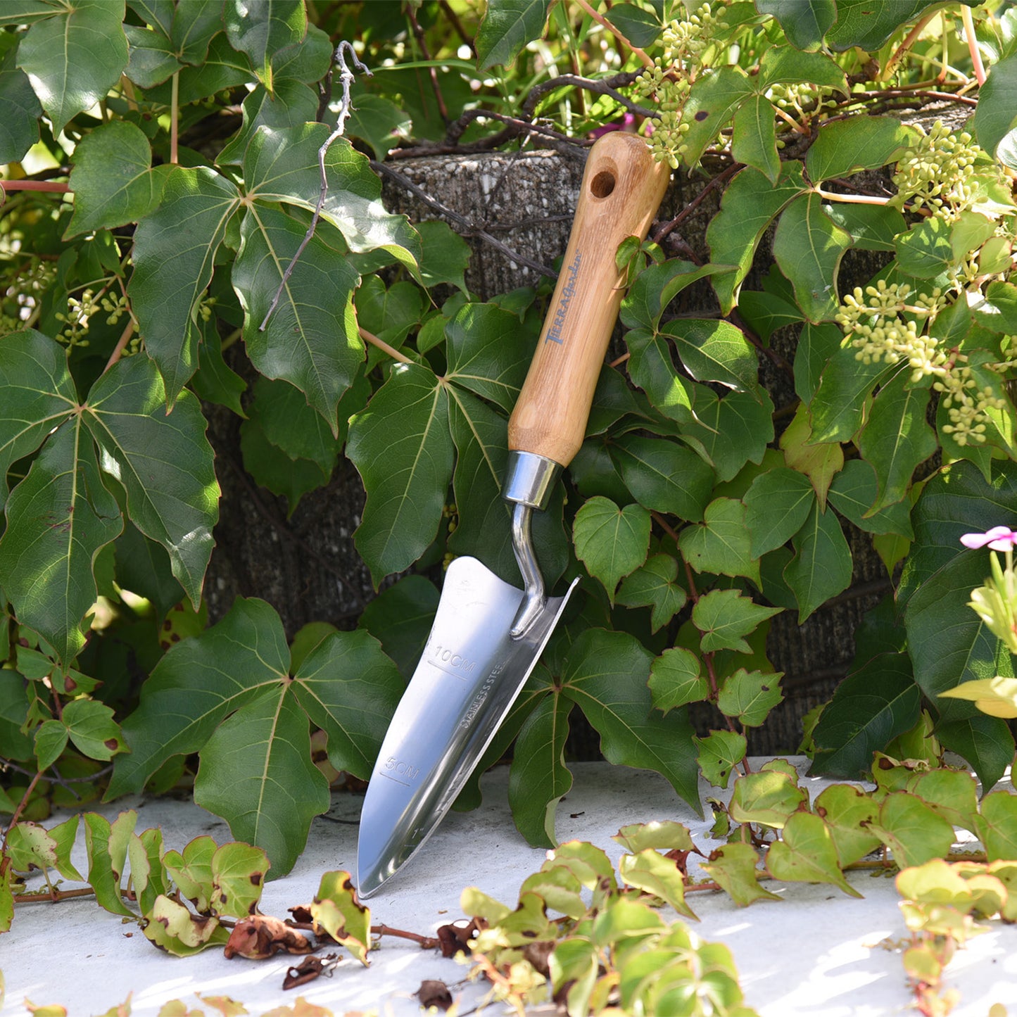 Stainless Steel Transplanter with Bamboo Handle -Ship Only