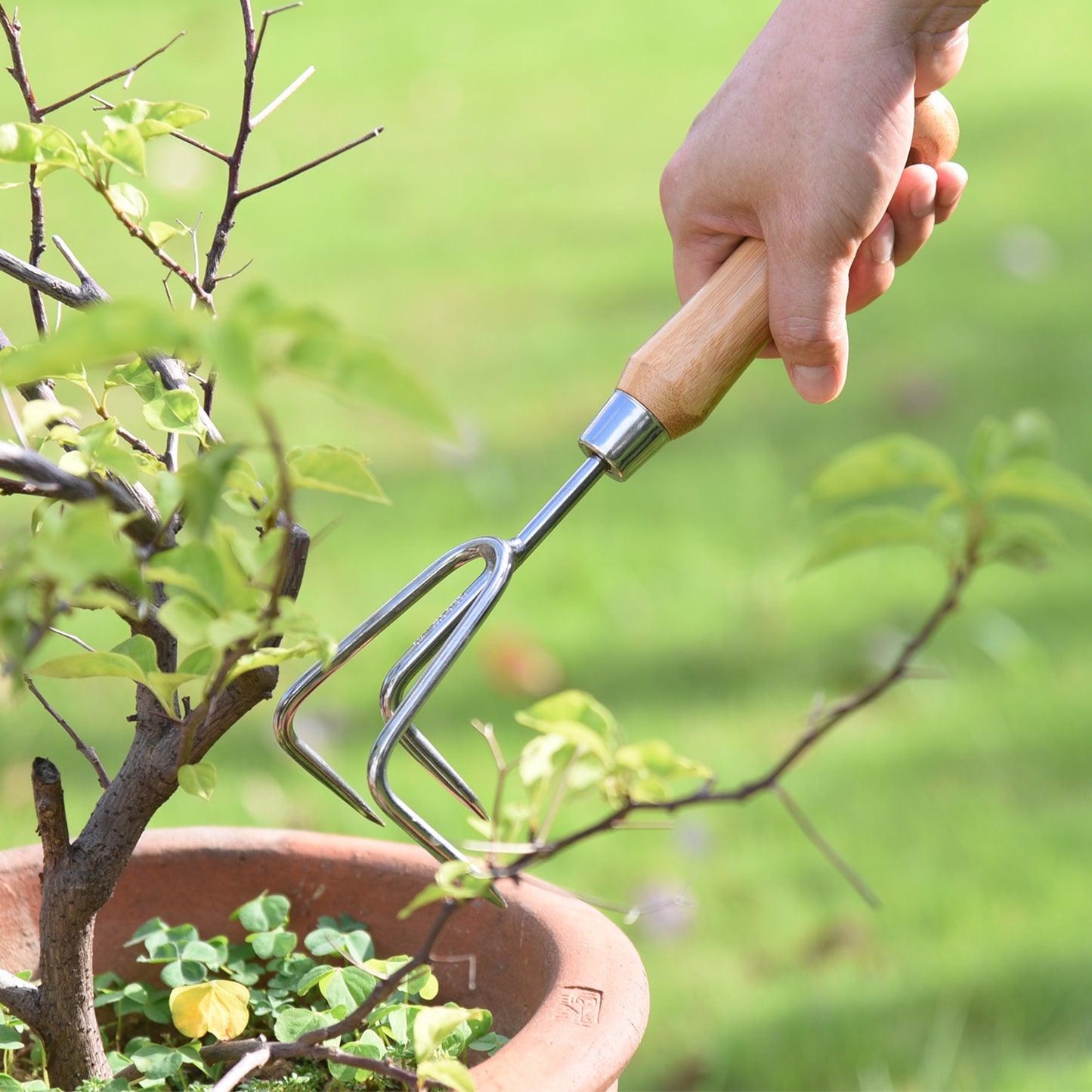 Stainless Steel Cultivator with Bamboo Handle -Ship Only