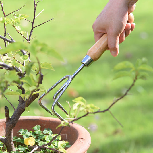 Stainless Steel Cultivator with Bamboo Handle -Ship Only