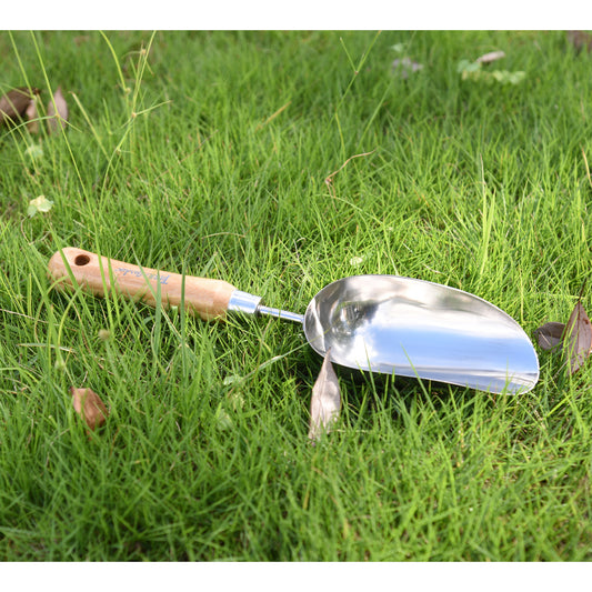 Stainless Steel Scoop with Bamboo Handle -Ship Only