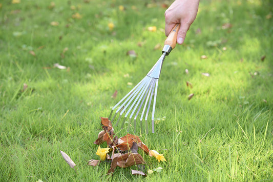 Stainless Steel Hand Rake with Bamboo Handle -Ship Only