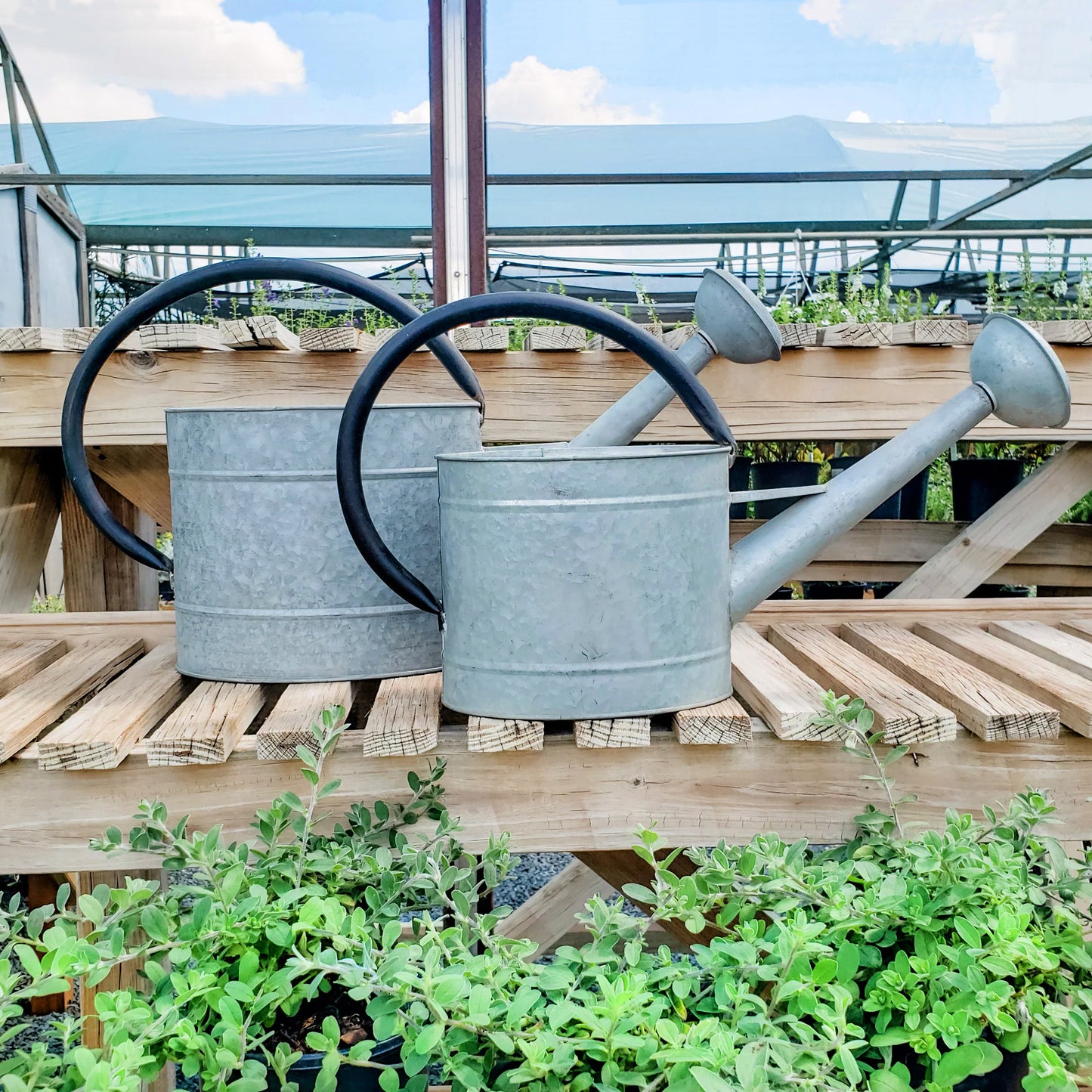 2.1 gal Oval Aged Zinc Watering Can -Ship Only