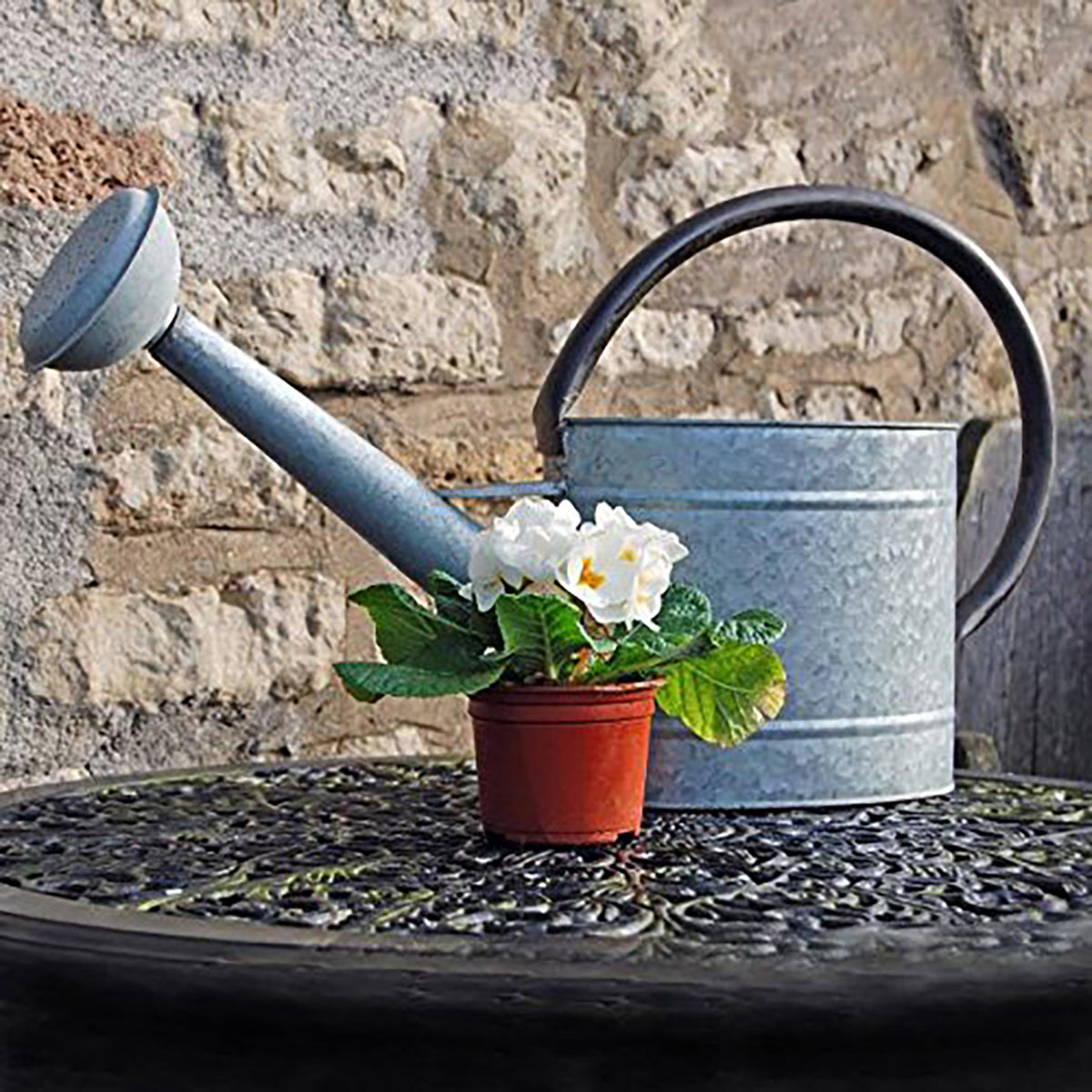2.1 gal Oval Aged Zinc Watering Can -Ship Only
