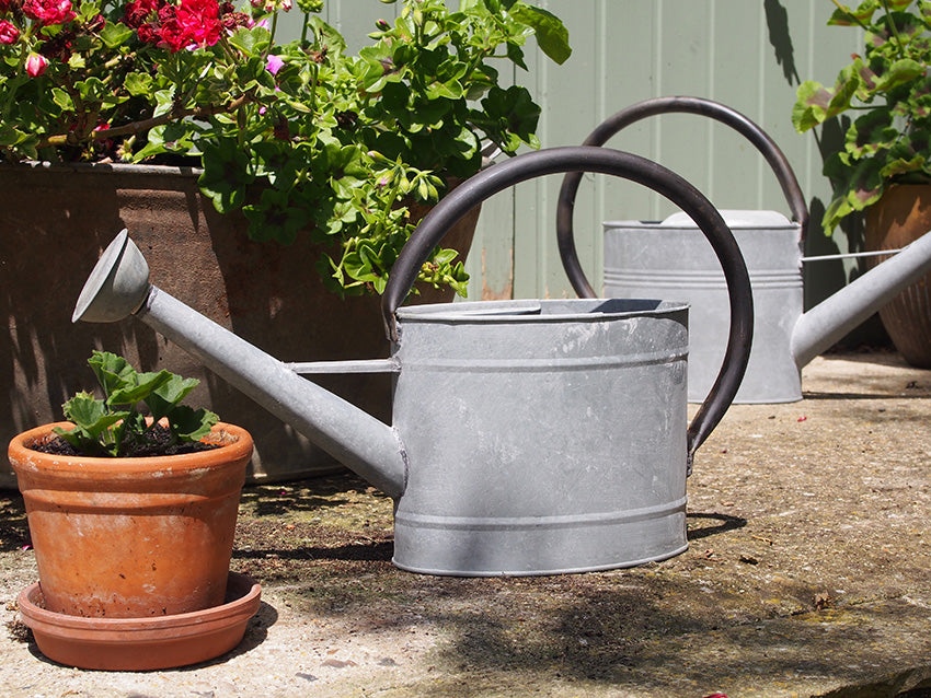 1.3 gal Oval Aged Zinc Watering Can -Ship Only