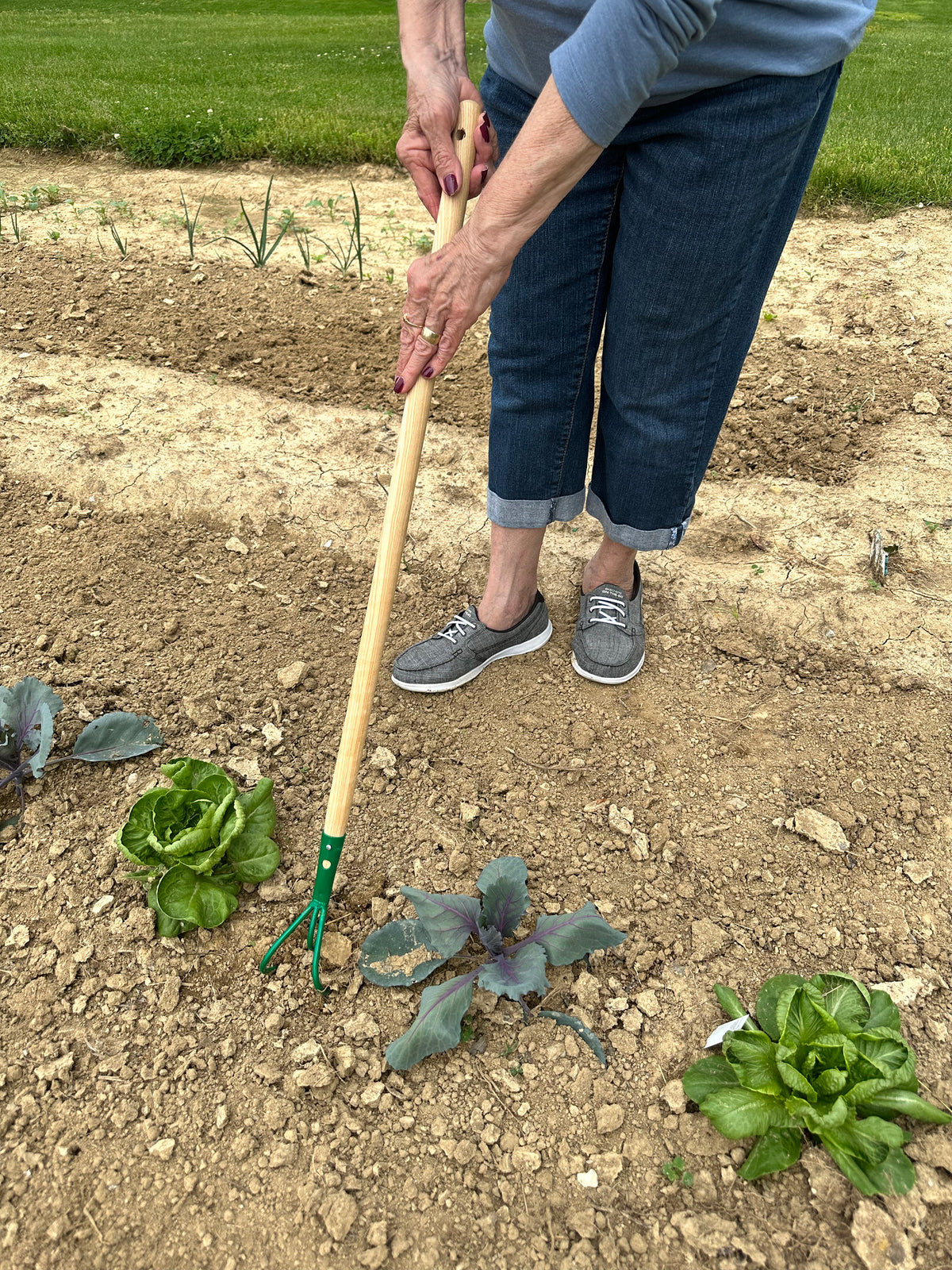 Kid's 3 Tine Cultivator -Ship Only