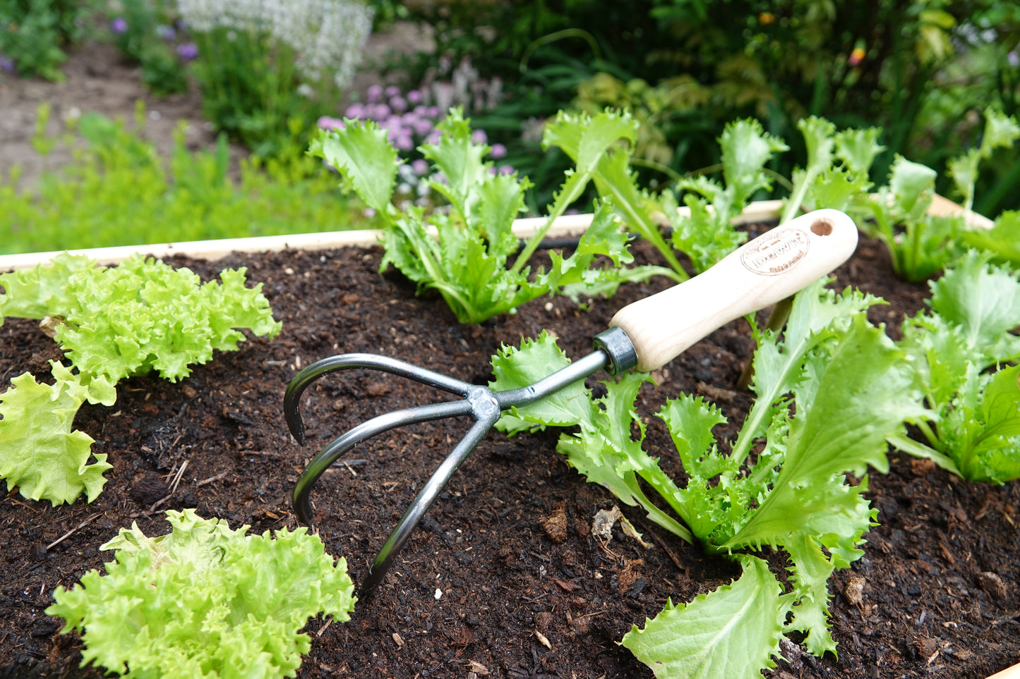 DeWit Cultivator - 3 Tine -Ship Only