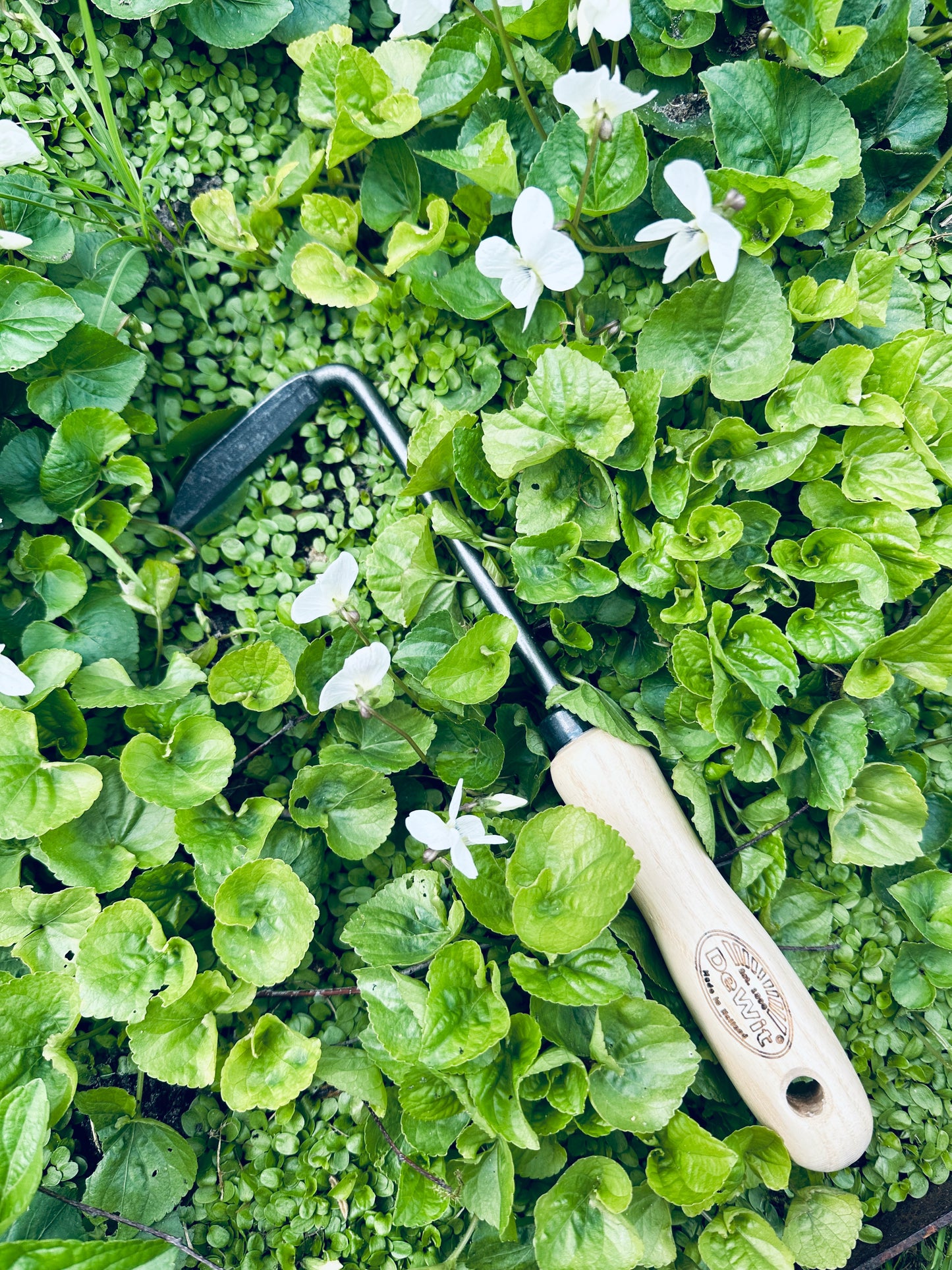 DeWit Weeder - Cape Cod Right Hand -Ship Only