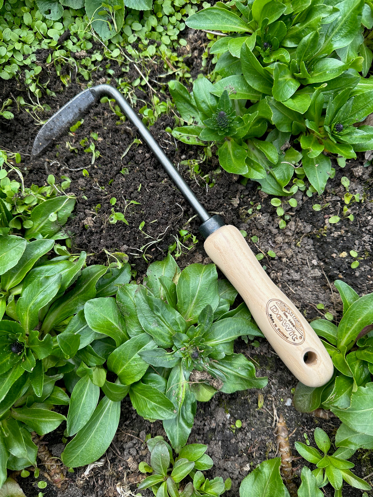 DeWit Weeder - Cape Cod Right Hand -Ship Only