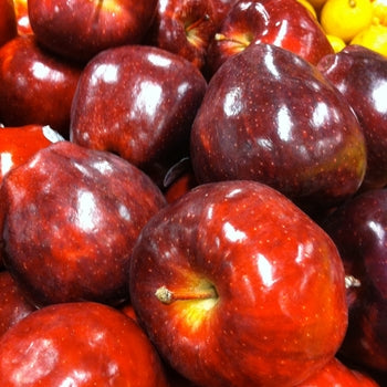 Apple - Red Delicious