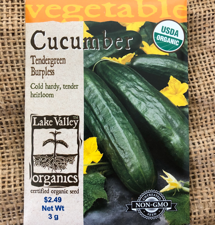 ORGANIC CUCUMBER TENDERGREEN BURPLESS