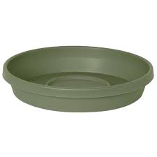 Terra Pot Saucer - Green