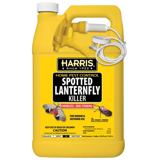 Spotted Lanternfly Killer