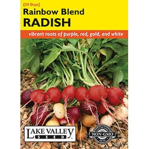 RADISH RAINBOW BLEND