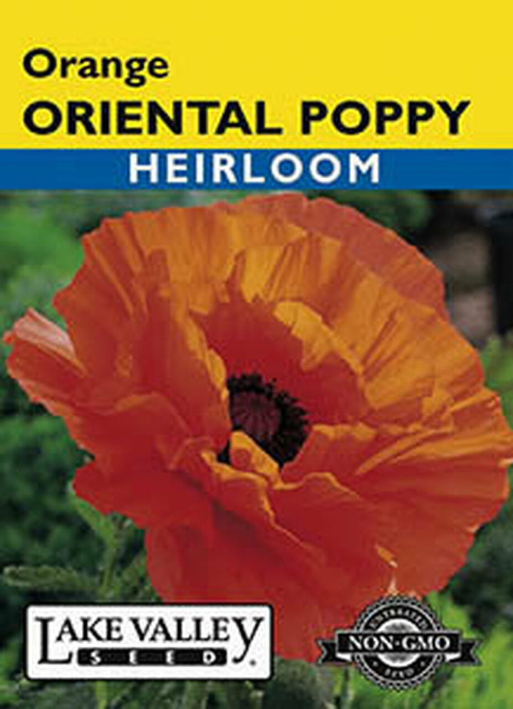 POPPY ORIENTAL ORANGE  HEIRLOOM