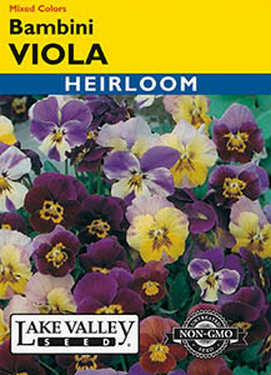 VIOLA BAMBINI MIXED COLORS  HEIRLOOM