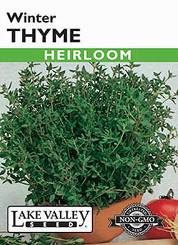 THYME WINTER HEIRLOOM