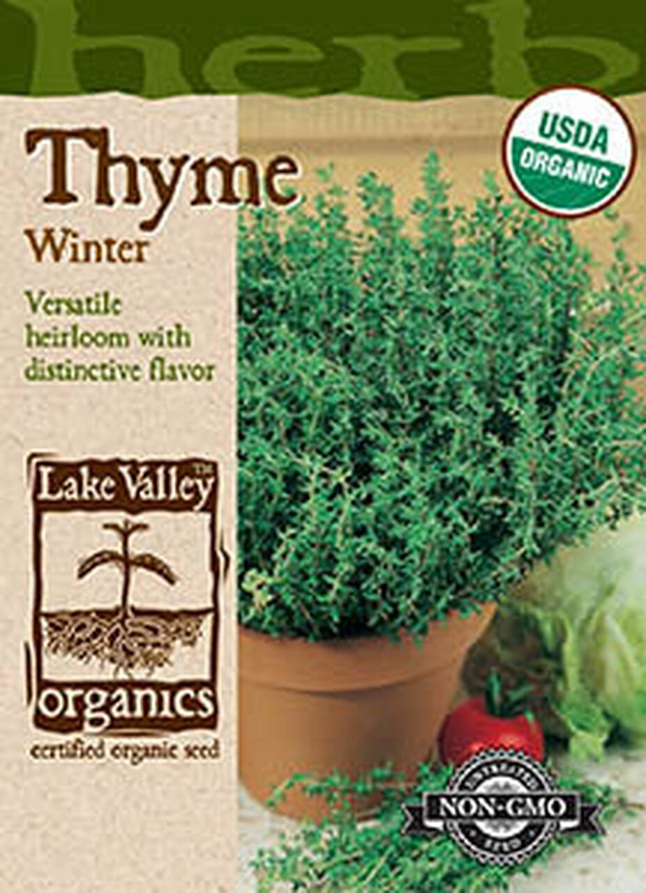 ORGANIC THYME WINTER  HEIRLOOM