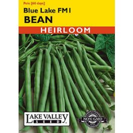 BEAN POLE BLUE LAKE FM1  HEIRLOOM