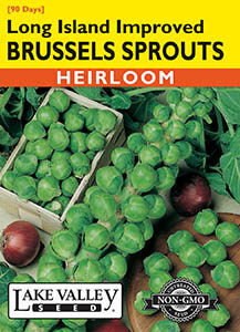 BRUSSELS SPROUTS LONG ISLAND IMPROVED HEIRLOOM